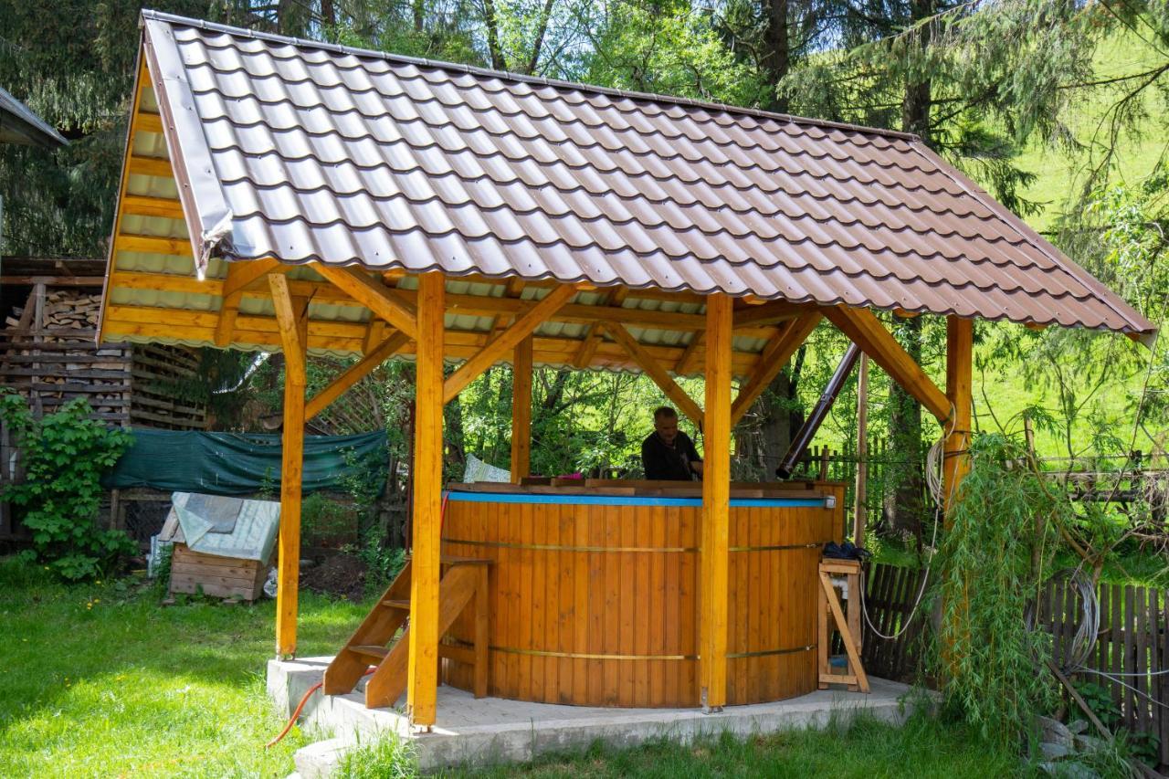 Pensiunea Viorica Arieseni Ngoại thất bức ảnh